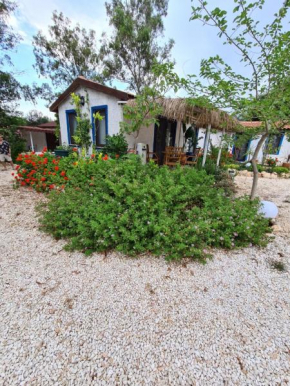 Eva's Tiny Homes